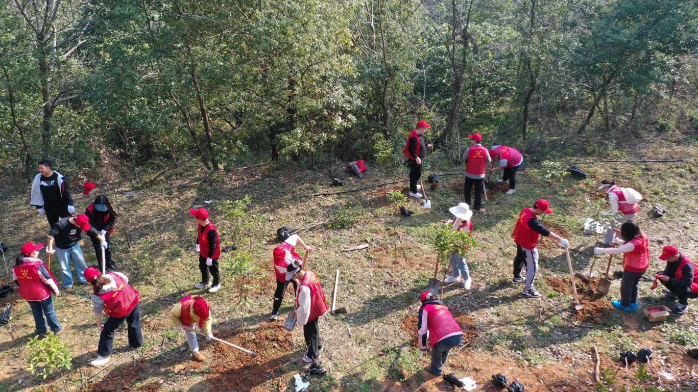 3.13旅游公司植树2.jpg